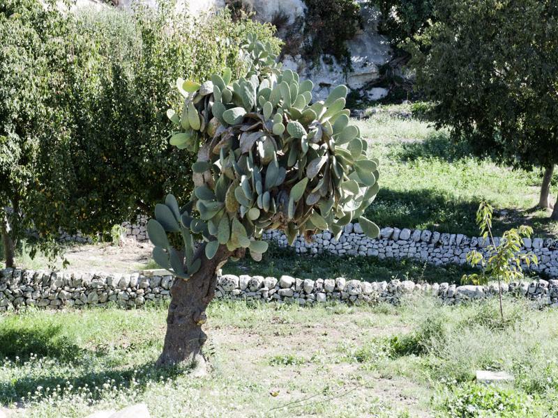 Valle dell'Acanto Modica Esterno foto